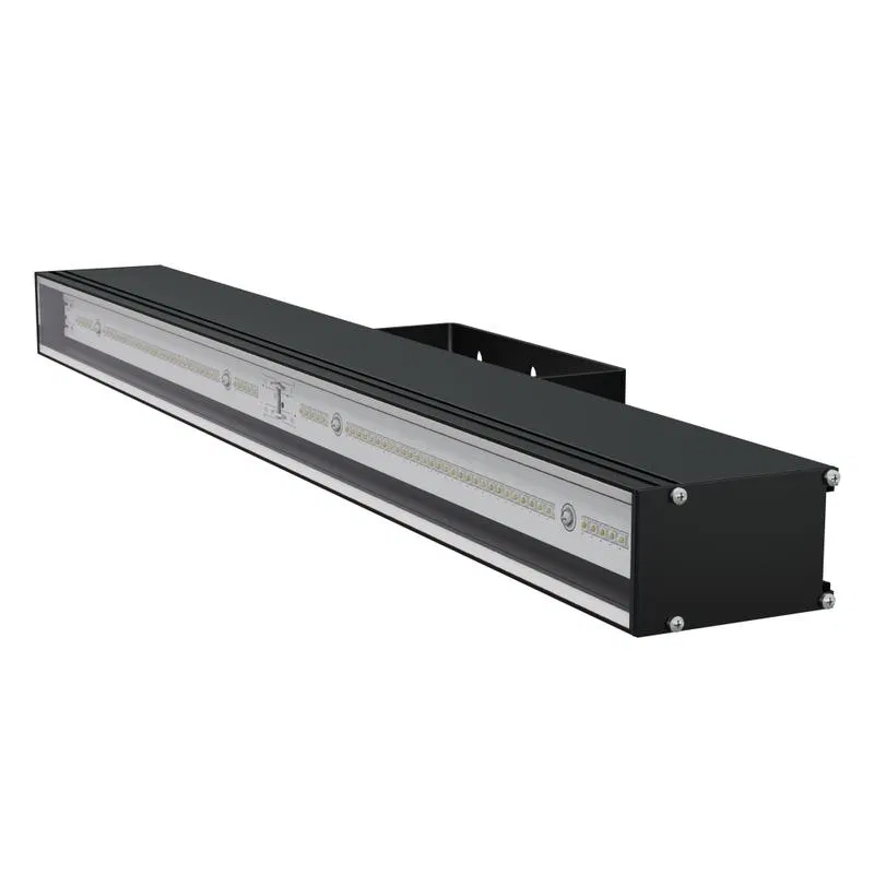 LAD LED LINE-600-120-25B 25W 5000K IP66 230V LDC type "D" linear black body LAD zavod LADLEDL600LS25B LAD zavod svetotekhniki