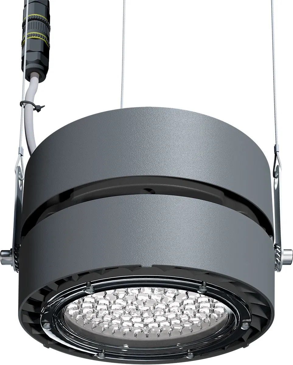 Светильник L-industry II/114/Г30/5,0К/05/IKX-31/220AC IP65 LEDEL INII114-26-514-17
