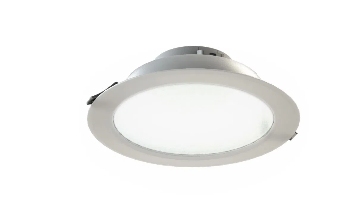 Radian NEW 25/23/Д/840/03/220AC IP54 LEDEL RD23-142-317-126 灯具