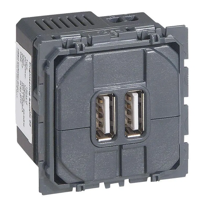 Celiane.双USB Type-C接口充电器 240V/5V 3000mA. 067466 Legrand
