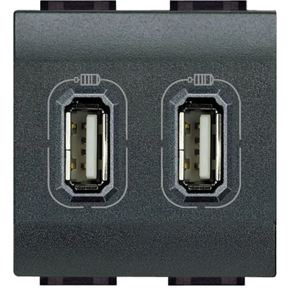 Livinglight USB Разъём Д/Зарядки 2м Антрацит L4285C2 Legrand