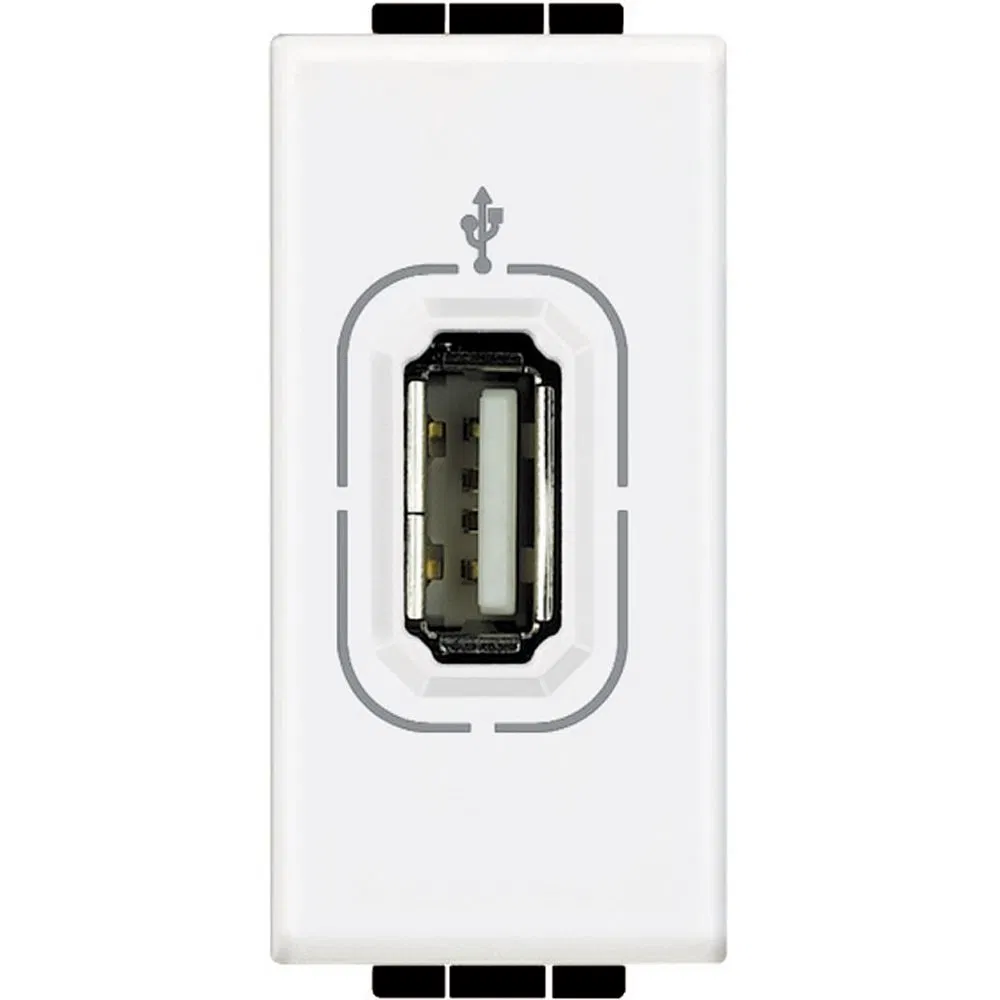 Livinglight Разъём USB, цвет белый N4285 Legrand