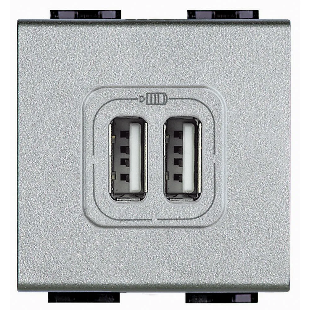 Livinglight Разъём для зарядки 2ХUSB, Алюминий NT4285C2 Legrand