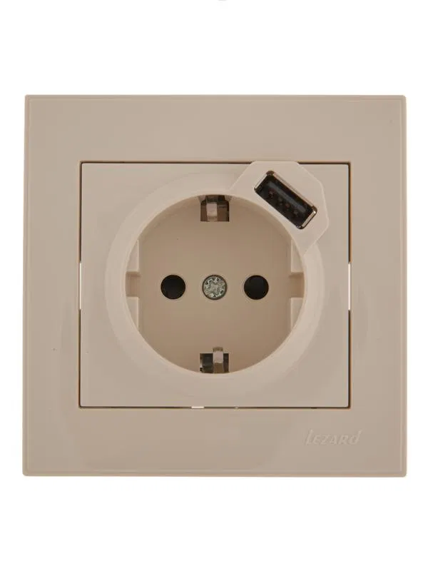 Rain 16A 带接地 + USB 插座 1孔 LEZARD 703-0303-181