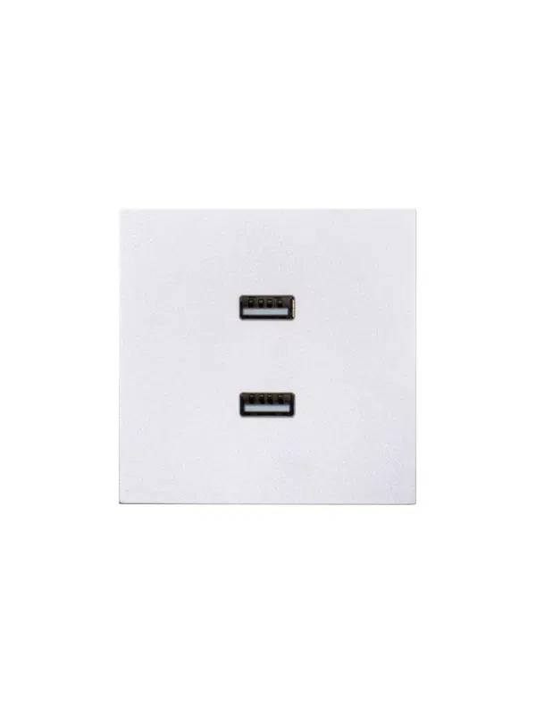 Розетка СП ZIMA IP20 с 2 USB-A разъемами механизм бел. искра матов. LEZARD 704-1488-192