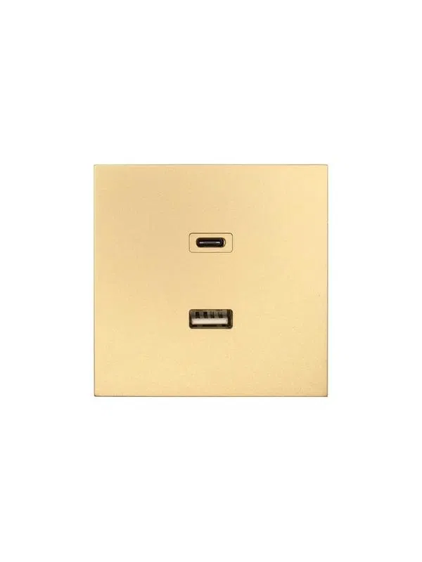 Розетка Type-C+ USB разъем СП ZIMA IP20 зол. LEZARD 704-3688-192TC