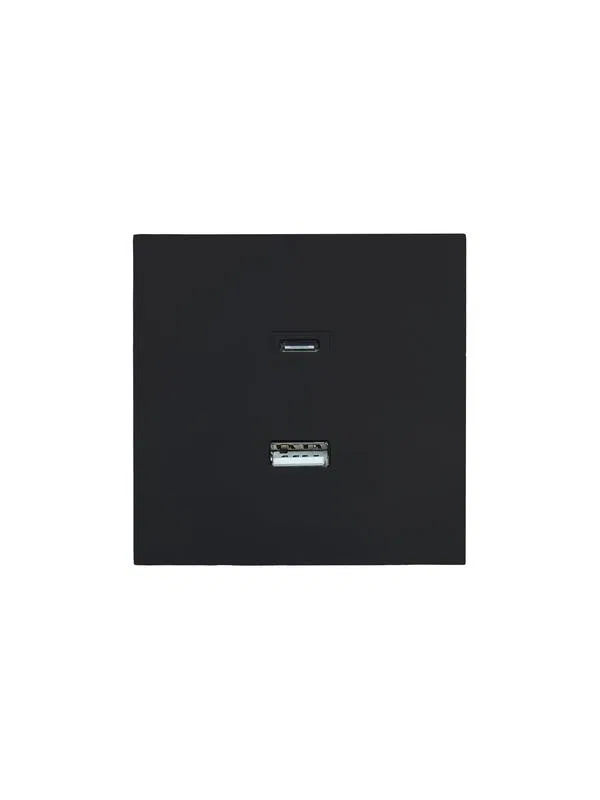 Розетка Type-C+ USB разъем СП ZIMA IP20 черн. бархат LEZARD 704-4288-192TC