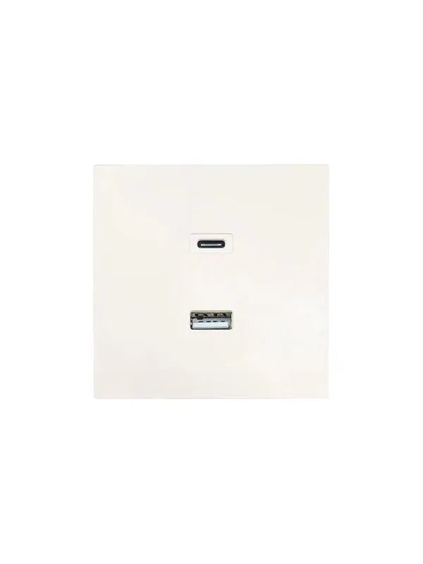 Розетка Type-C+ USB разъем СП ZIMA IP20 слон. кость LEZARD 704-9088-192TC
