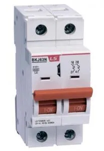 Выключатель автоматический модульный 2п BKJ63N C63 LS Electric 06122660R0