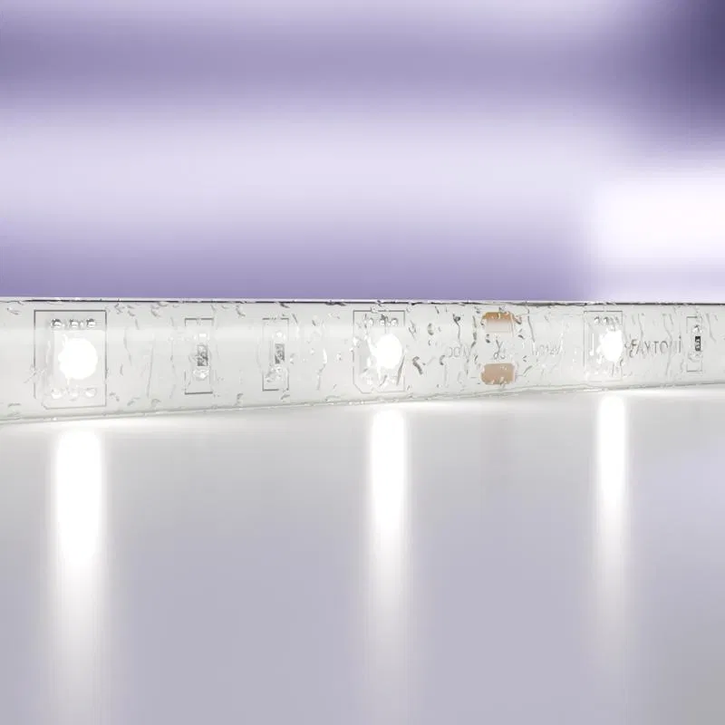 Лента светодиодная 12В 5050 7.2Вт/м 6000К IP65 (уп.5м) Maytoni 10125