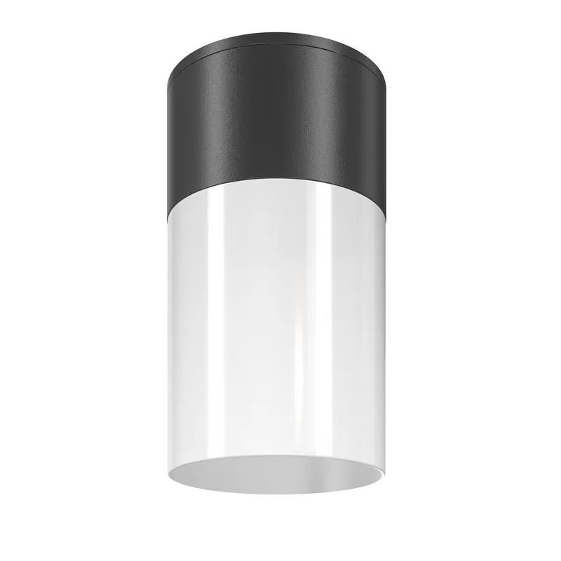 Светильник Willis 1х60Вт E27 IP54 потолочн. Maytoni O418CL-01B