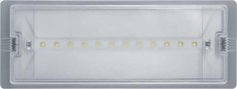 Светильник светодиодный 95 290 NEF-19 6Вт IP65 100лм 220-240В аккум. LiFePO4 600mAh аварийно-эвакуационный Navigator 95290