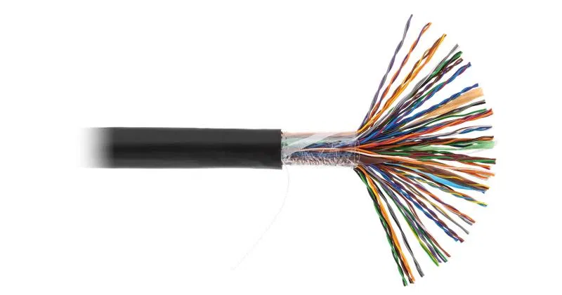 U/UTP 第5类 (D类) 网线 50对 100MHz 实心纯铜 PE护套 耐-40℃ 黑色 (305m装) NETLAN EC-UU050-5-PE-BK-3
