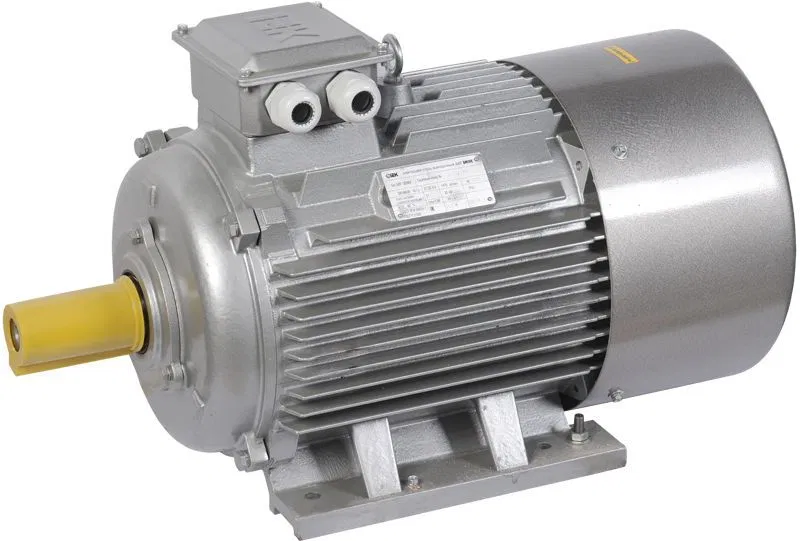 Three-phase asynchronous electric motor AIR 200L8 660V 22kW 750rpm 1081 DRIVE IEK DRV200-L8-022-0-0710