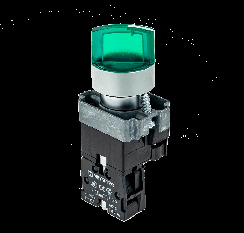 Переключатель с LED подсветкой 24В AC/DC зел. 2 полож. 1NO фикс. мет. MTB2-BK2361 ОВЕН 58209