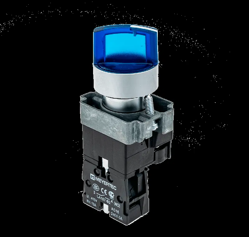Переключатель с LED подсветкой 220В AC/DC син. 2 полож. 1NO фикс. мет. MTB2-BK2663 ОВЕН 58217