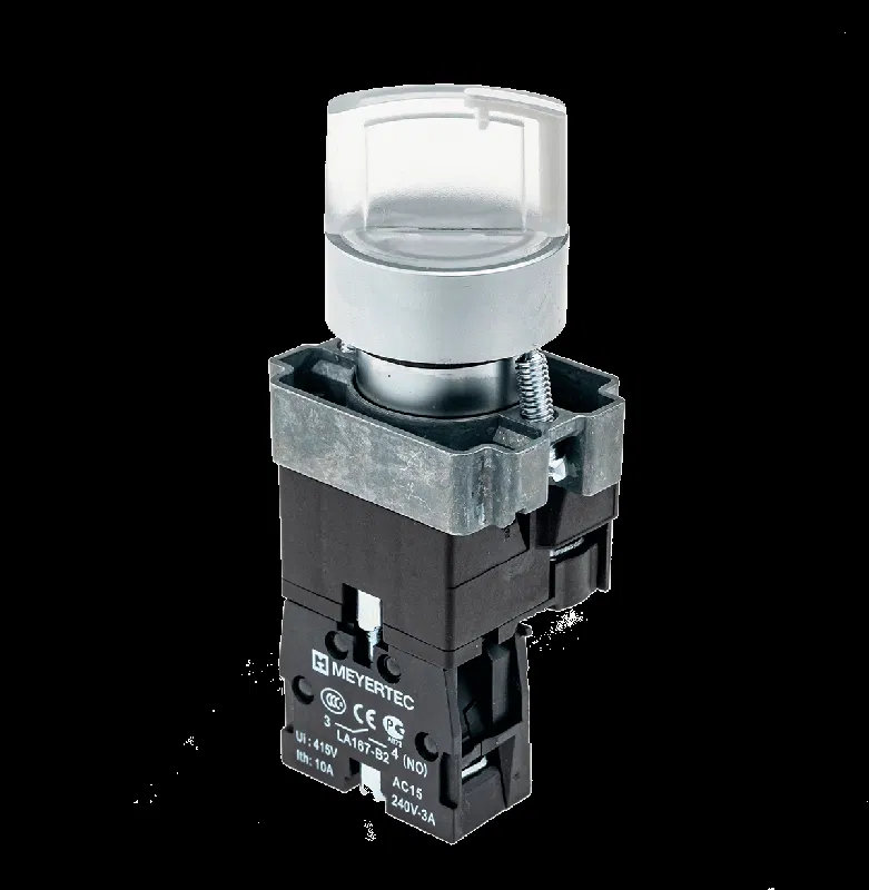 Переключатель с LED подсветкой 220В AC/DC прозр. 2 полож. 1NO фикс. мет. MTB2-BK2763 ОВЕН 58218