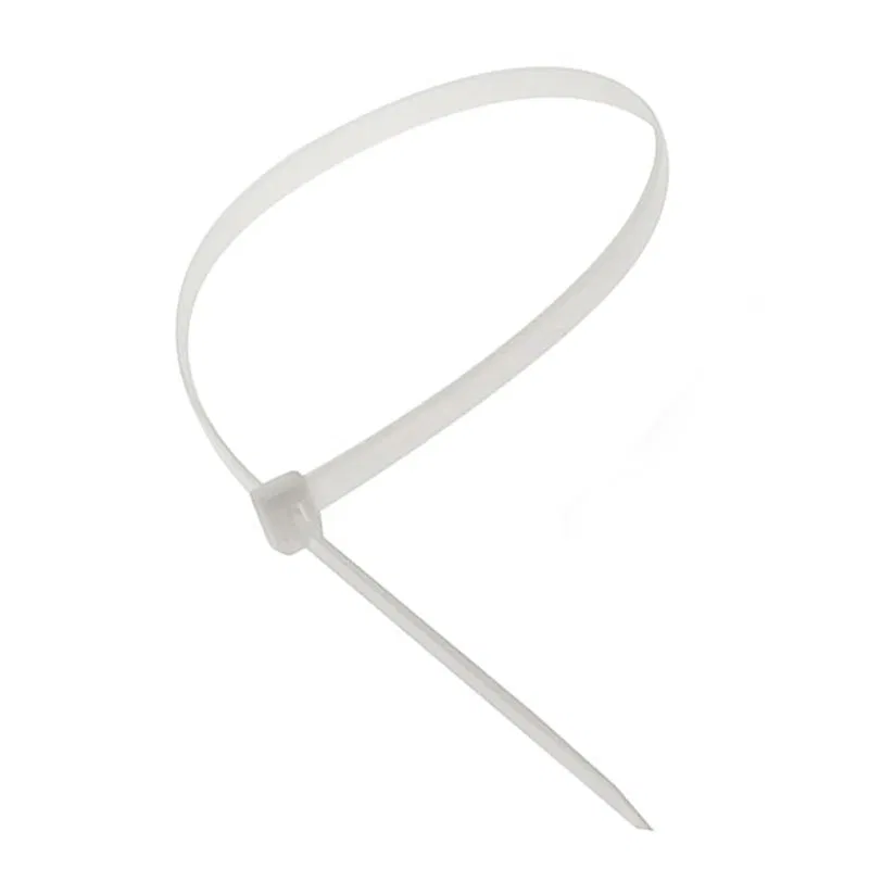 Nylon cable ties 3.6*250 (b) (100 pcs/pack) Promrukav (200 packs/box)