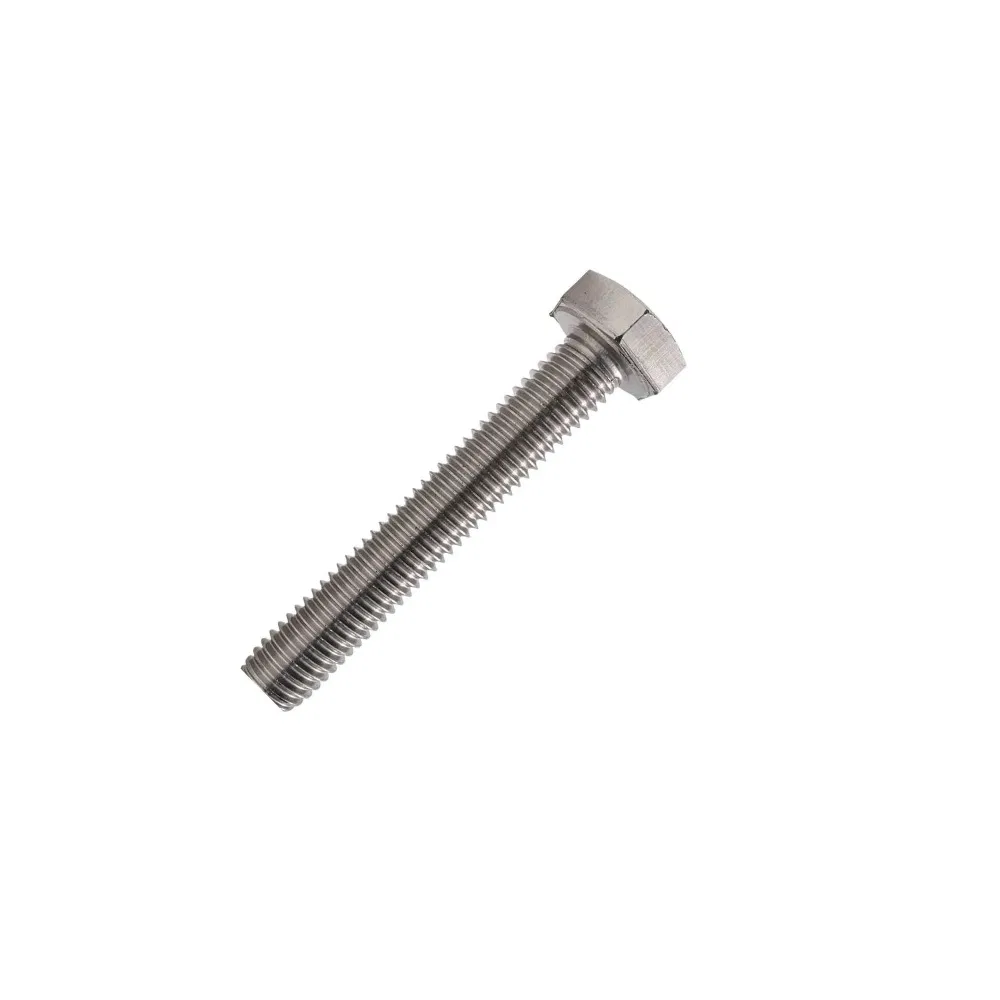 Bolt M10x70 (100 pcs/pack) INOX Promrukav PR08.29381