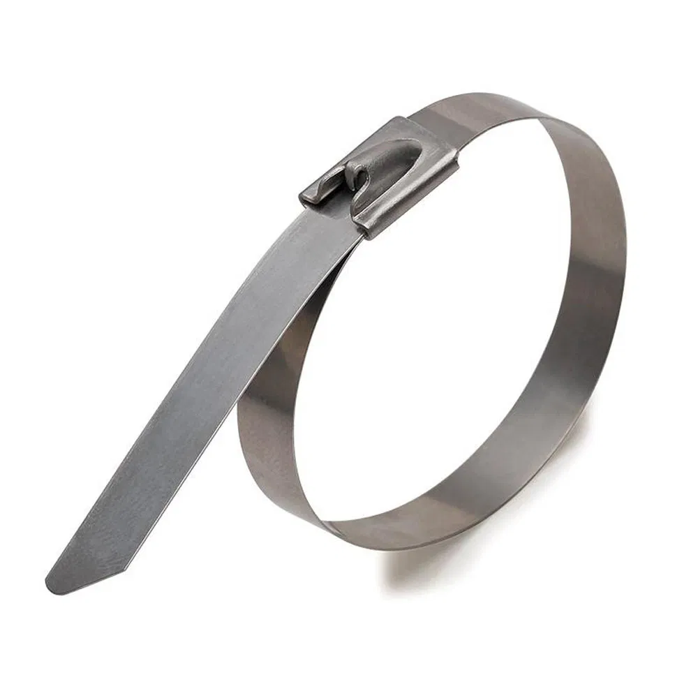 Steel cable ties SCS (316) 12*800 (50 pcs/pack)