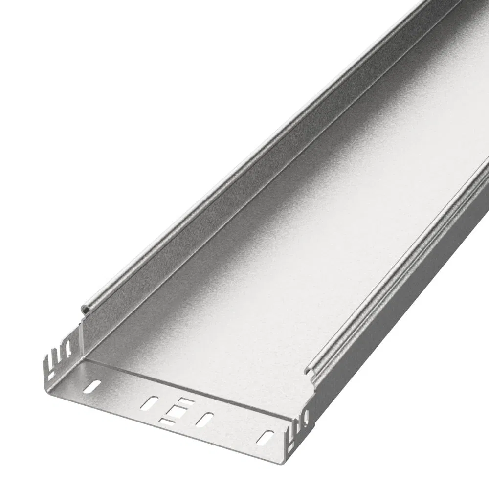 非穿孔式托盘 Profi 200x50x3000 (1,0 mm) (6 m/уп) Промрукав PR16.12787