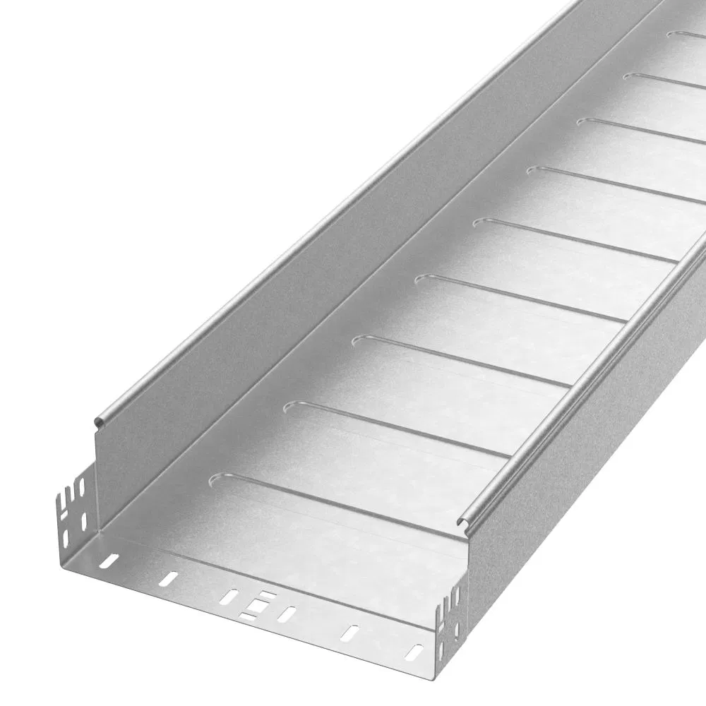 非穿孔托盘 Profi 300x100x6000 (1,0 mm) (12 m/уп) Промрукав PR16.12806