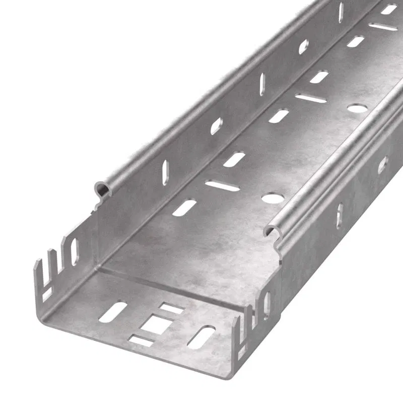 Perforated tray 100x50 L3000 steel 1mm Profi Promrukav PR16.13155