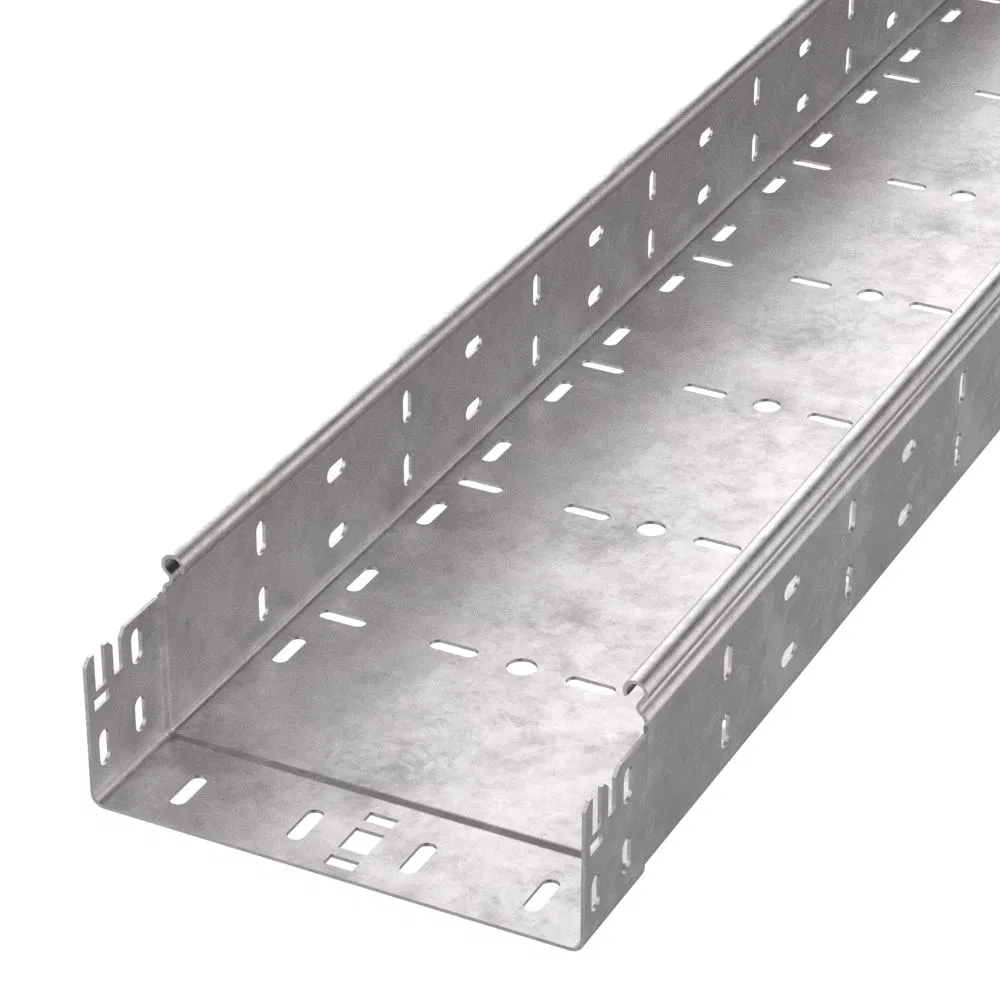 穿孔式托盘 Profi HDZ 200x80x6000 (1,0 mm) (12 m/уп) Промрукав PR16.13183