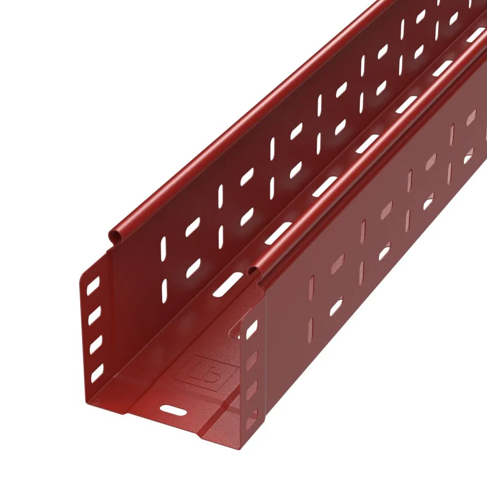 Perforated tray Standard 100x100x3000 (0.7 mm) RAL (6 m/pk) Promrukav PR16.1898