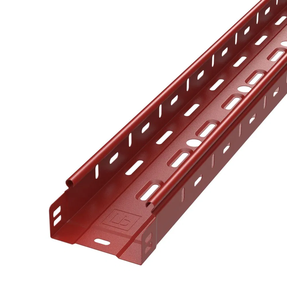 Perforated tray Standard 100x50x3000 (0.7 mm) RAL (24 m/pk) Promrukav PR16.1899