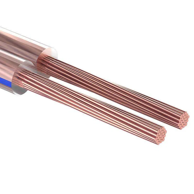 Rexant 01-6202-3 BLUELINE Stereo 2х0.35 透明电缆 (100m装)