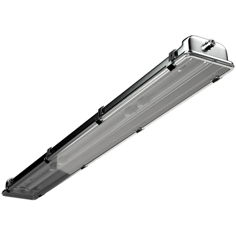 Светильник INOX 236 HF ES1 2х36Вт G13 IP65 потолочный ЭПРА БАП СТ 1077000100 Световые технологии