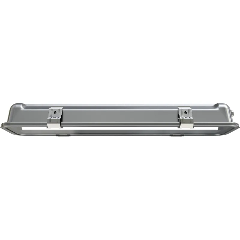 Светильник светодиодный INOX LED 30 25Вт 4000К IP65 потолочный СТ 1079000170 Световые технологии