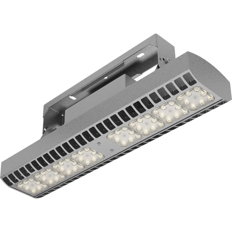 HB LED Ex 100W D80 850 HG 1224001560 Световые Технологии