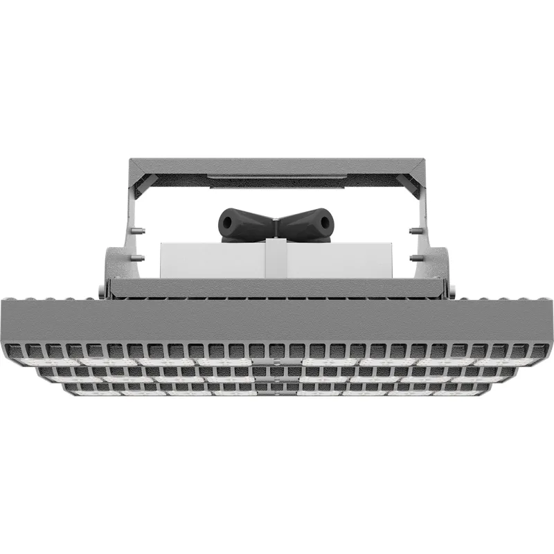 HB LED 225 D30 5000K G2 1224003420 Световые Технологии