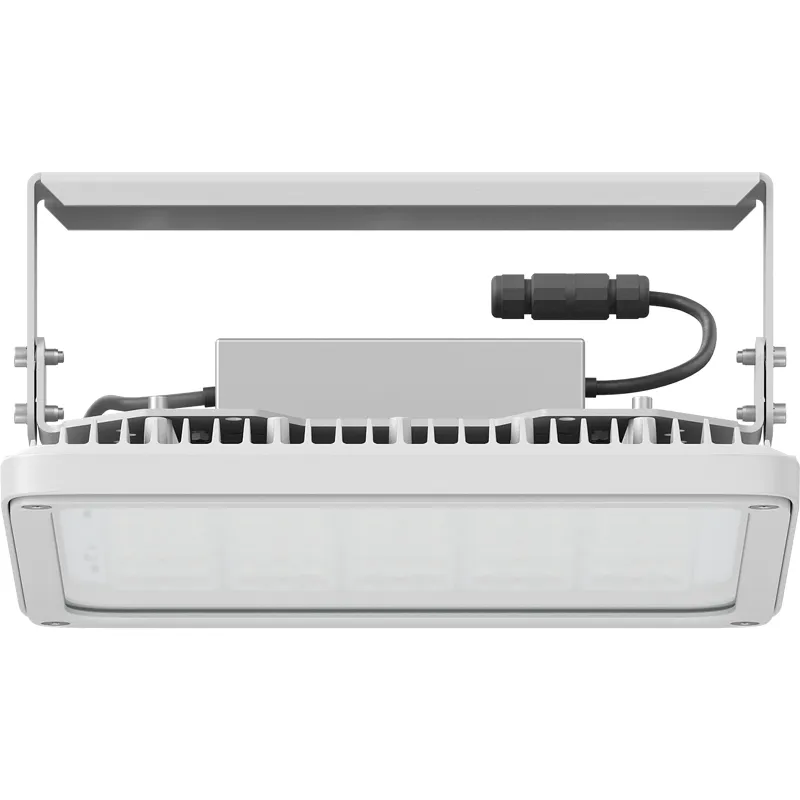 Светильник светодиодный INSEL LB/S LED G3 70W D30 850 WH SB СТ 1334003690 Световые технологии