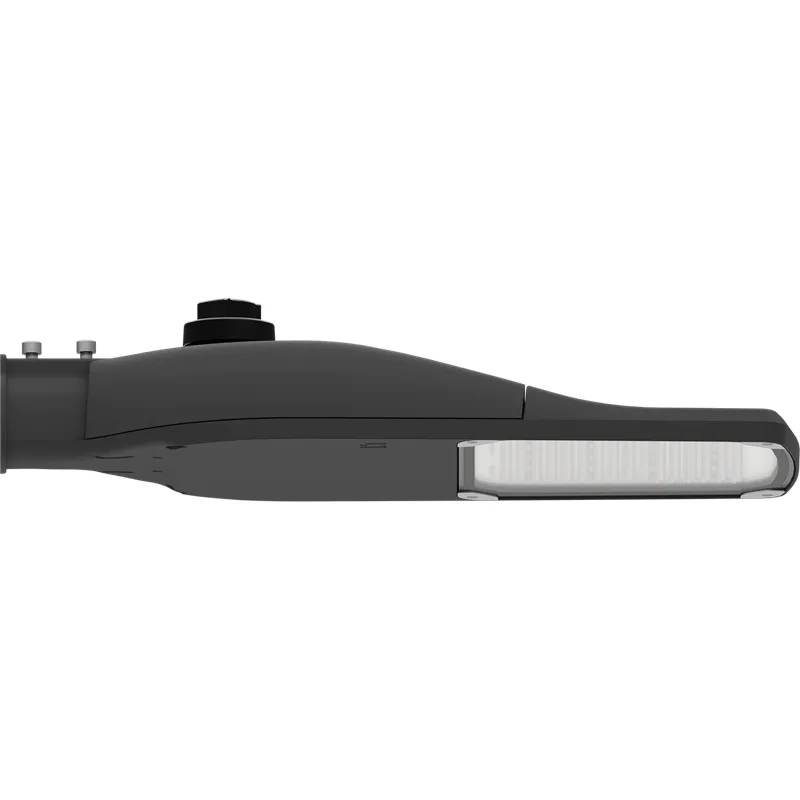 CARAVELLA G2 60W DW1 827 RAL9005 CR 1354001020 Световые Технологии