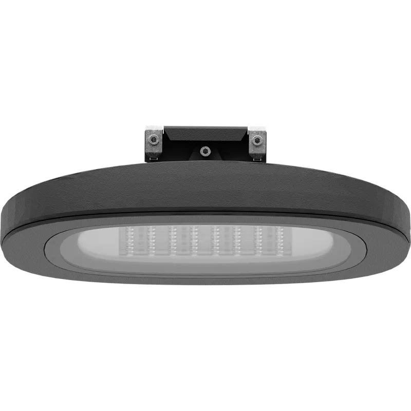 SKYLINE LED/CAT 120W DS1 730 RAL9006 1707000230 Световые Технологии