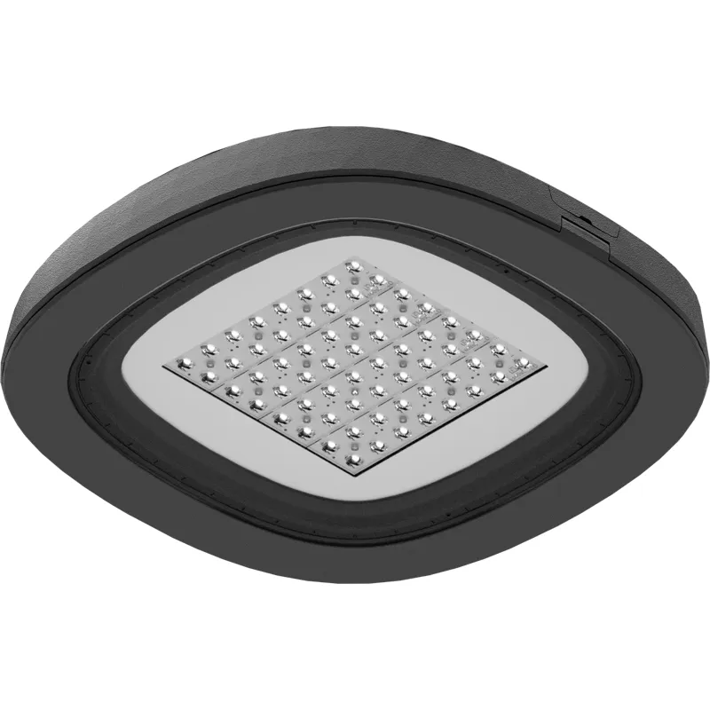 SKYLINE LED/CAT 60W DS1 730 RAL9006 1707001240 Световые Технологии