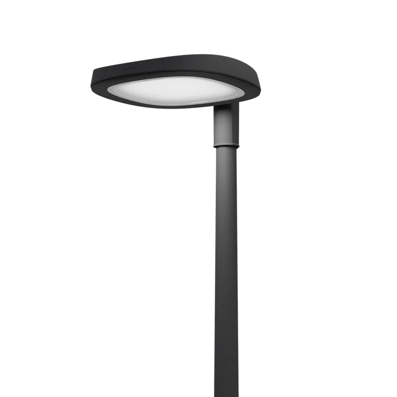SKYLINE LED 30W DW 827 RAL9005 I-POLE 4M (в комплекте ЗДФ) 4707000230 Световые Технологии