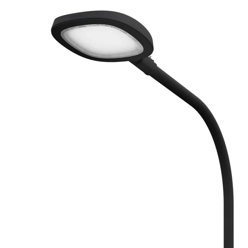SKYLINE LED 30W DK 827 RAL9005 K-POLE 4M (в комплекте ЗДФ) 4707000260 Световые Технологии