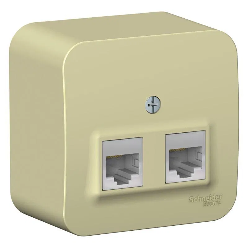 Розетка компьютерная 2-м ОП Blanca RJ45 кат.5E с изолир. пластиной беж. SE BLNIA045457 Systeme Electric