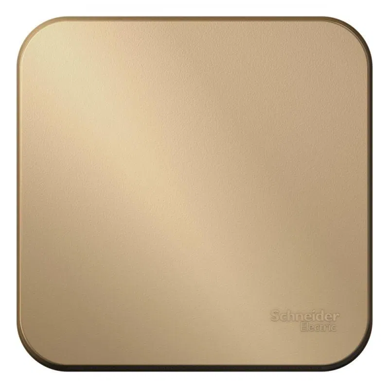 Выключатель 1-кл. ОП Blanca 10А IP20 (сх. 1) 250В с изолир. пластиной титан SE BLNVA101014 Systeme Electric