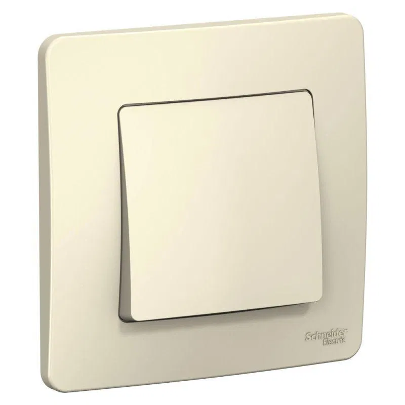 Выключатель 1-кл. СП Blanca 6А IP20 (сх. 1) 250В молочн. SE BLNVS006102 Systeme Electric