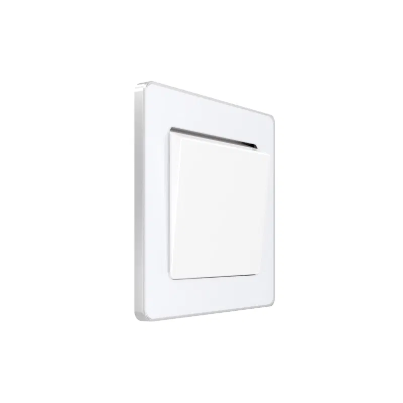 卡片式开关 SP Systeme Infinity 230V 25A 带延时功能 北极冰 SE FSE000114 Systeme Electric