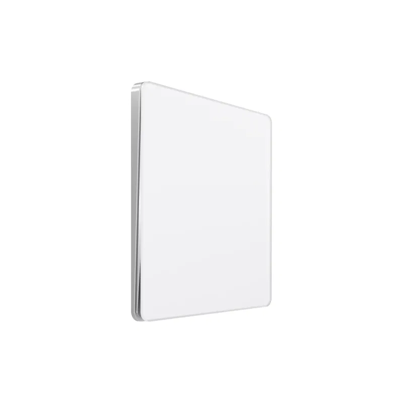 1-位开关 SP Systeme Infinity 10A 250V 自复位 极地冰 SE FSE000115 Systeme Electric