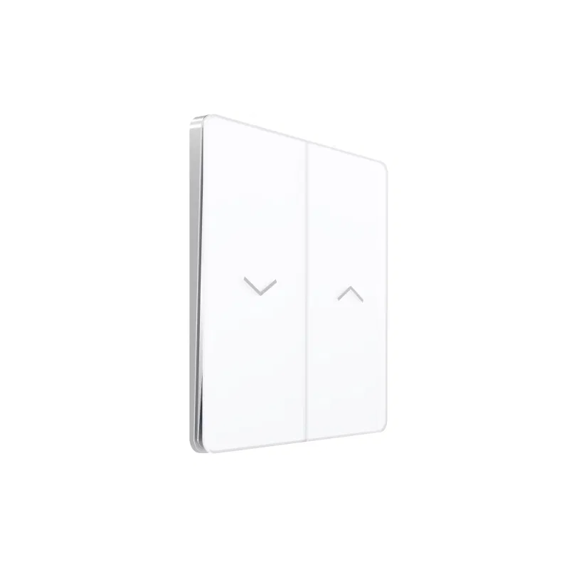 百叶窗开关 SP Systeme Infinity 10A 250V 北极冰 SE FSE000119 Systeme Electric