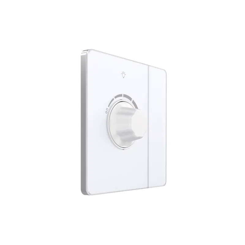 1路调光器 SP TRIAC Systeme Infinity 10A 300W 250V 带开关 Arctic LED SE FSE000121 Systeme Electric