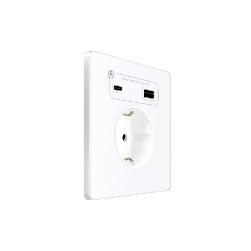 Systeme Infinity 1-位插座 16A IP20 250V 带接地及 USB A+C 20W 充电装置 保护门 北极冰 SE FSE000132 Systeme Electric