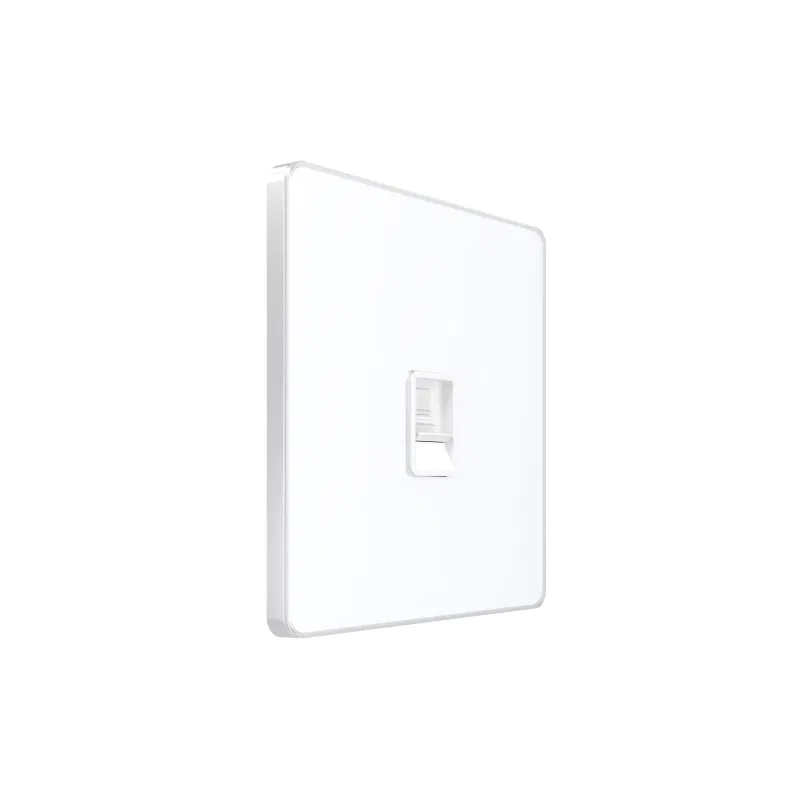 Information socket 1-gang SP Systeme Infinity RJ45 cat.5E IP20 arctic ice SE FSE000183 Systeme Electric